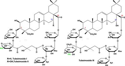 Adjuvant activity of tubeimosides by mediating the local immune microenvironment